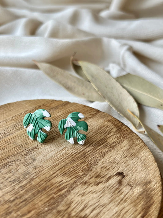 Variegated Monstera Studs
