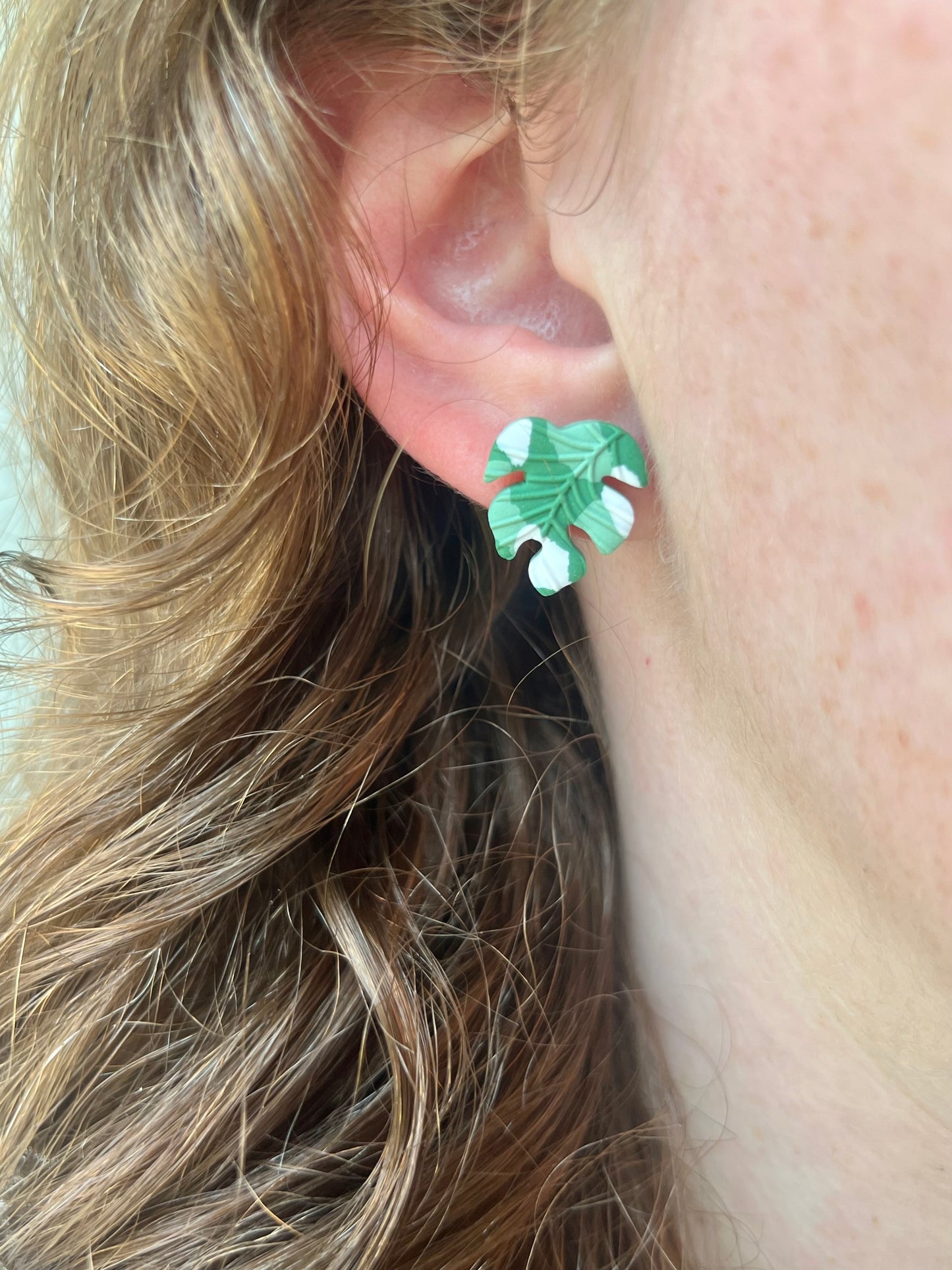 Variegated Monstera Studs