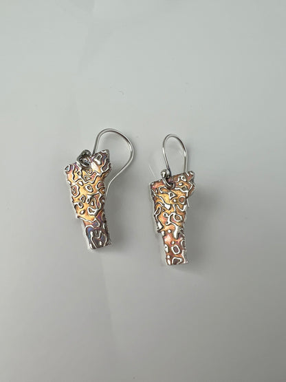 Vermont Topography Earrings