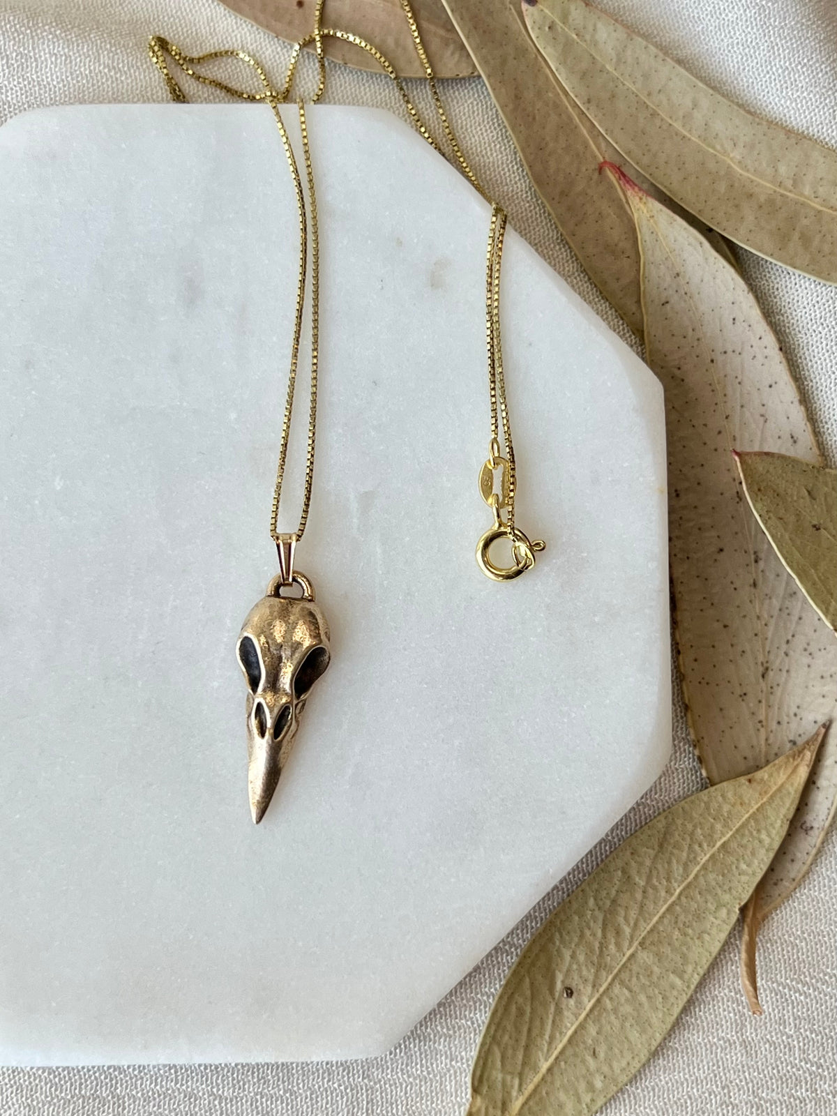 Raven Skull Necklace