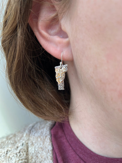 Vermont Topography Earrings