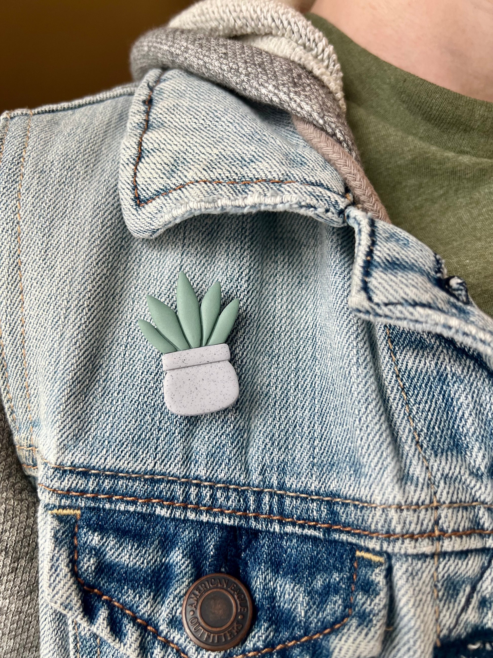 succulent pin Succulent Pin
