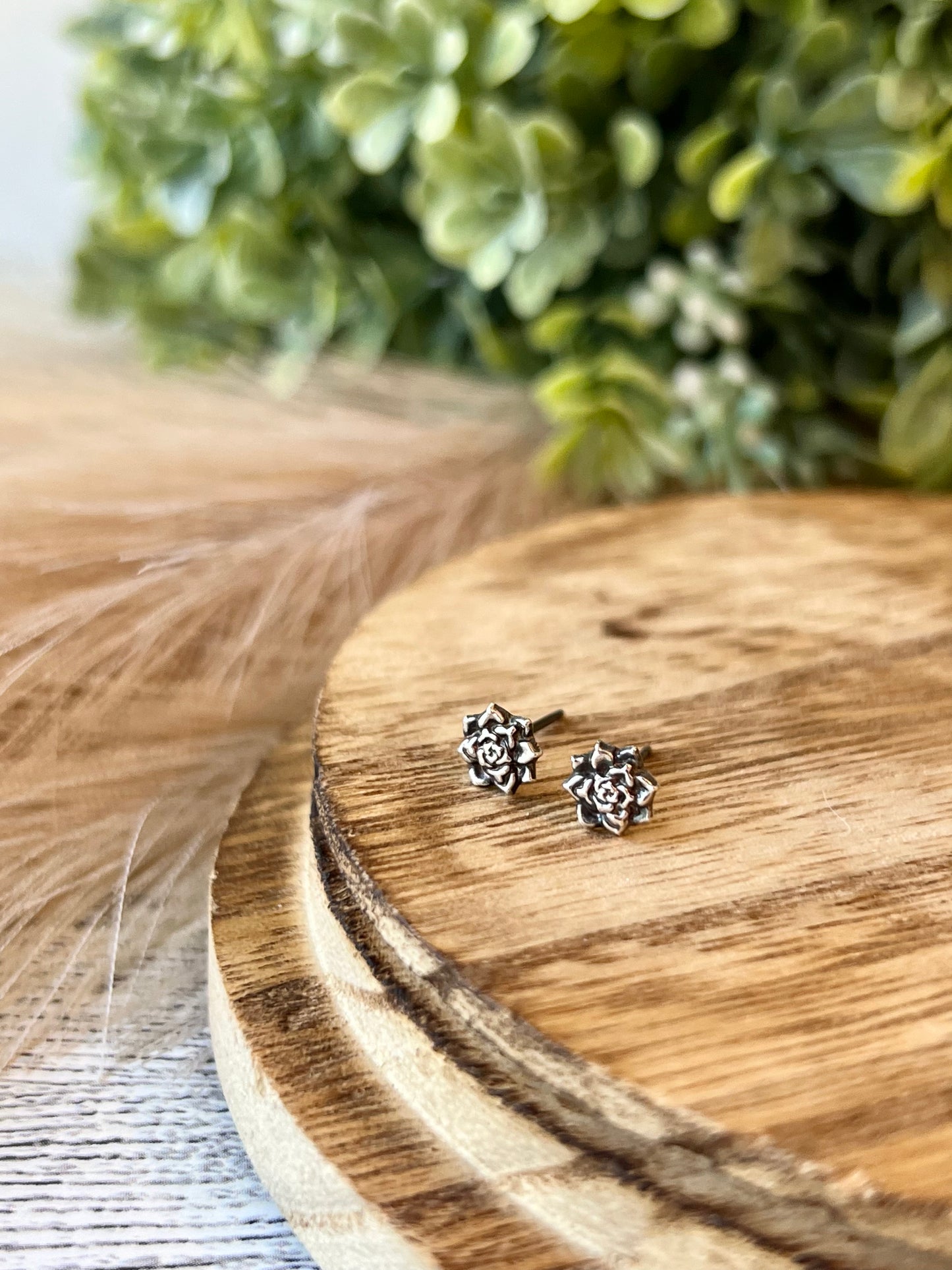 Mini Succulent Studs